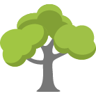 Spring Tree Removal Service