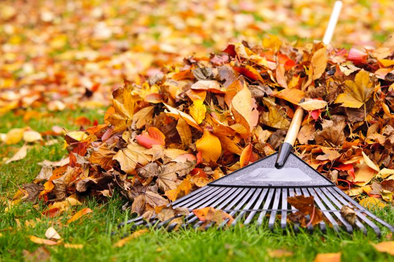 Seasonal Yard Maintenance