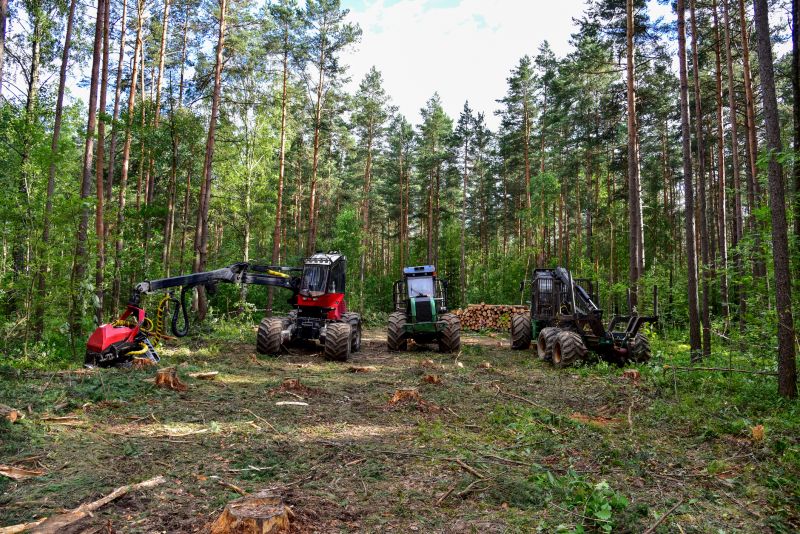 Tree Removal Equipment in Use