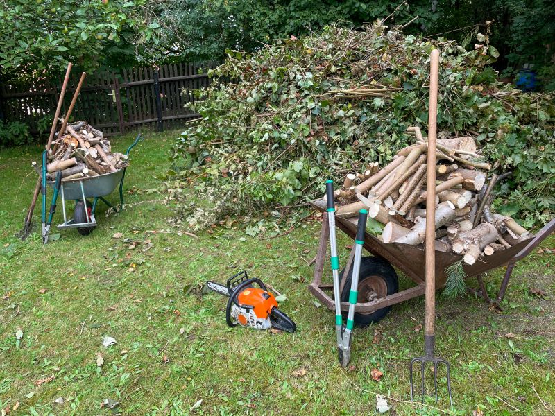 Post-Removal Site Cleanup